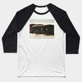 Cat in the Bag Baseball T-Shirt